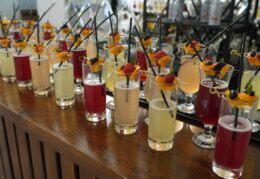 Galeria (16/36)