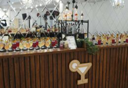 Galeria (17/36)